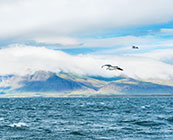 Atlantic